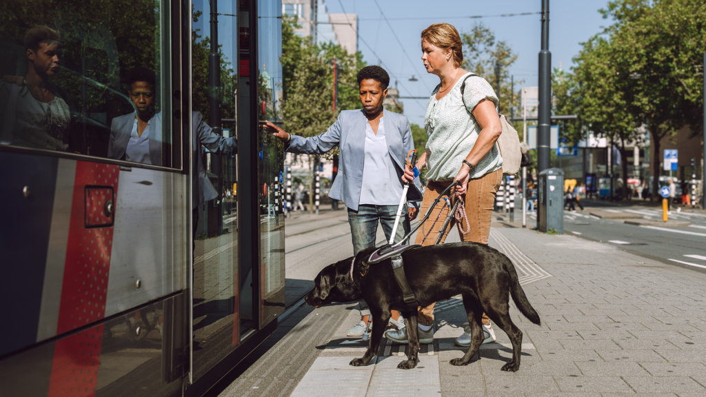 Afbeelding van Revalidatie & Advies