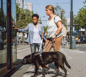 Therapeut helpt blinde cliënt met hulphond en stok in tram voor verkeersvaardigheidstraining